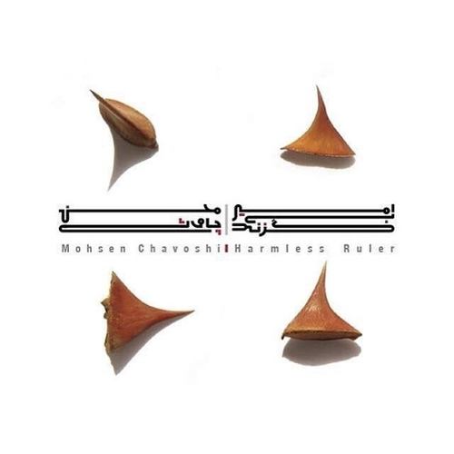 محسن چاوشی امیر بی گزند
