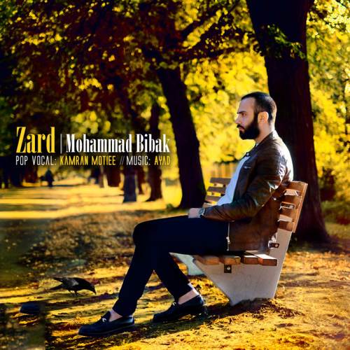محمد بیباک زرد
