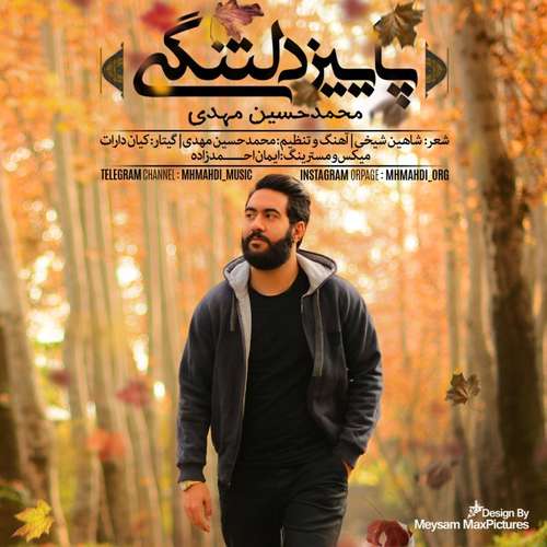 محمدحسین مهدی پاییز دلتنگی