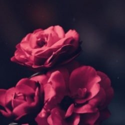 سارن مامان دارم برمیگردم نکنه اصرار که نه دانلود آهنگ MP3 سارن مامان دارم برمیگردم نکنه اصرار که نه دانلود آهنگ MP3