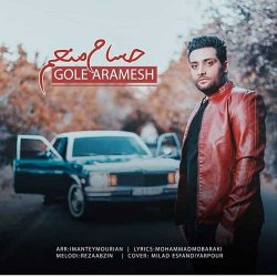 دانلود آهنگ حسام منعم با نام گل آرامش